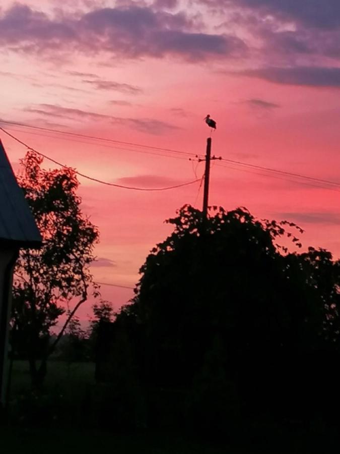 Dom I Pokoje Goscinne Zaruby Sejny Luaran gambar